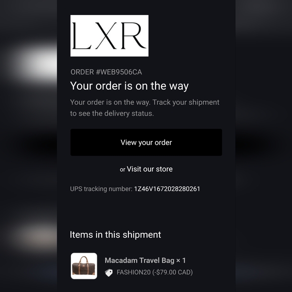 Celine Macadam Travel Luggage Bag - Vintage - Picture 6 of 6